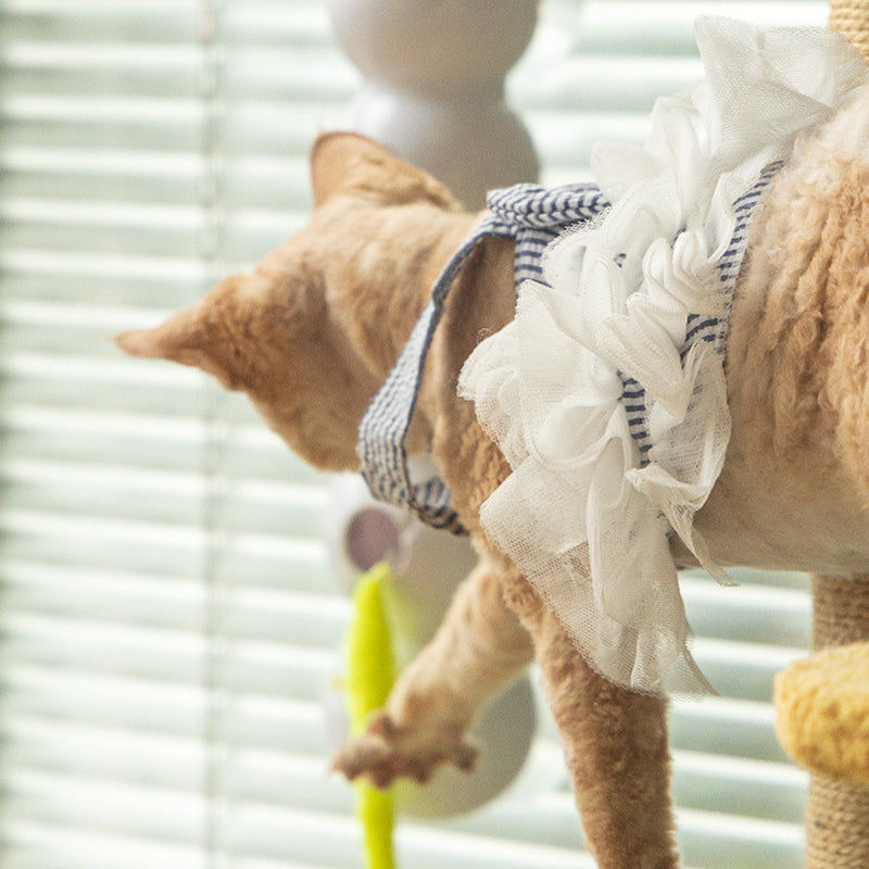 Fun Interactive Cat Toy Tunnel