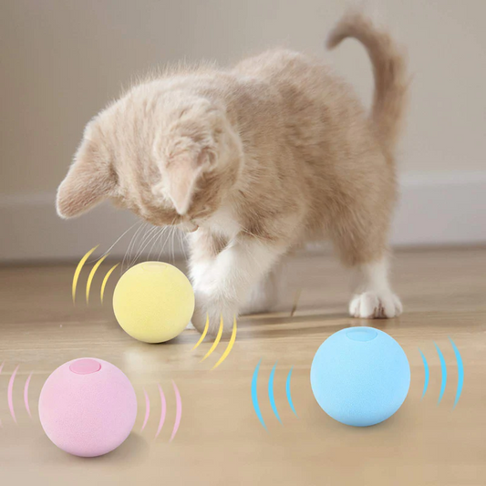 Fun Interactive Cat Ball Toy - Marketvora