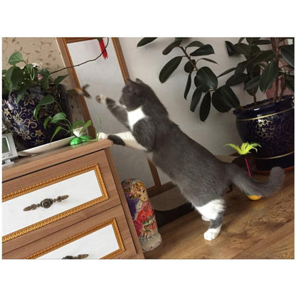 Fun Interactive Colorful Cat Toy