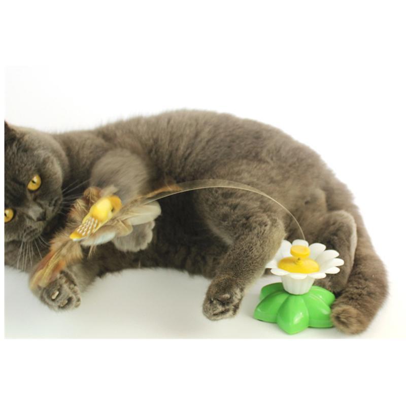 Fun Interactive Colorful Cat Toy