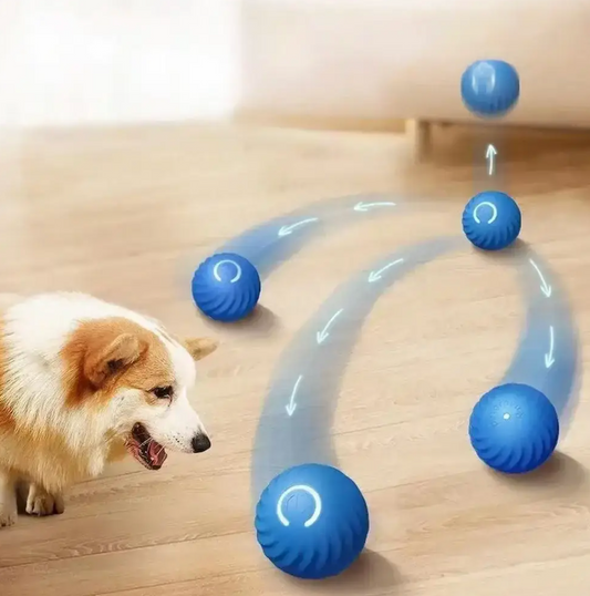 Fun Interactive Bouncing Dog Toy - Marketvora